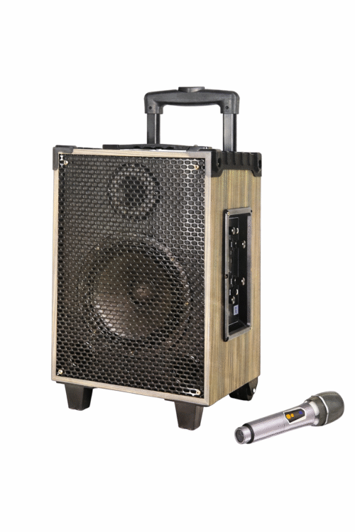 Brodu Bts 2228 8 Inch Trolley Type Professional Portable Party Speaker With 1 Wireless Mic / Display / Usb & SD Card & Aux & Mic Slot & Guitar Slot / With Carry Handle And Carry Wheel / Black - Free Delivery